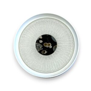 MX8950-1AY